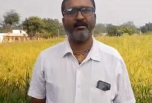 धान की जगह रागी की खेती से दिनेश को मिलेगा 10 हजार रुपये का प्रोत्साहन धान की जगह रागी की खेती से दिनेश को मिलेगा 10 हजार रुपये का प्रोत्साहन