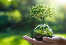 प्रकृति और प्रगति, विकास और पर्यावरण संरक्षण में तालमेल जरूरी