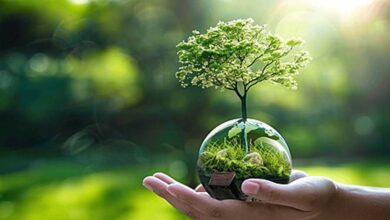 प्रकृति और प्रगति, विकास और पर्यावरण संरक्षण में तालमेल जरूरी