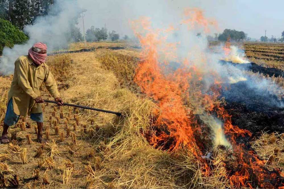 जबलपुर में नरवाई जलाने पर 15 हजार रुपये तक जुर्माना, 60 दिन का प्रतिबंध लागू जबलपुर में नरवाई जलाने पर 15 हजार रुपये तक जुर्माना, 60 दिन का प्रतिबंध लागू
