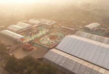 बस्तर के लालबाग में वनोपज से सजी 20,700 वर्गफीट की भव्य रंगोली ने रचा विश्व रिकॉर्ड, राष्ट्रपति  द्रौपदी मुर्मु ने किया अवलोकन
