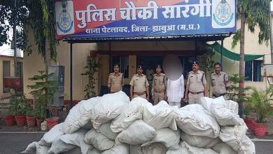 मध्यप्रदेश पुलिस की अवैध मादक पदार्थो के विरूद्ध बड़ी कार्रवाई