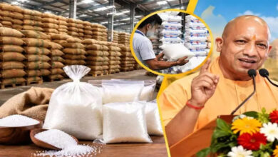 गन्ना किसान संस्थान परिसर में 52 रुपये किलो में मिलेगी चीनी