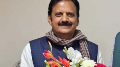 उप मुख्यमंत्री शुक्ल ने प्रदेशवासियों को विजयादशमी पर्व की दीं शुभकामनाएं